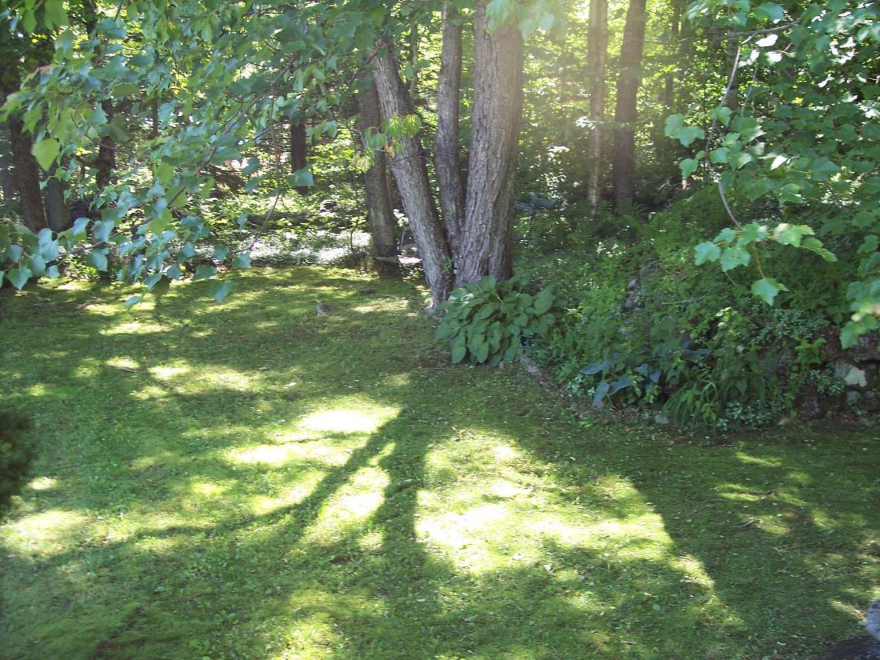 Bed and Breakfast Hummingbird Hill à Stoddard Extérieur photo